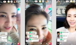 德国性爱直播网址,揭秘网络色情产业的秘密世界