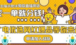 直播带货成交91单多少钱,揭秘成交额背后的秘密