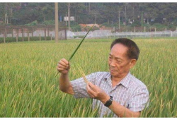 袁隆平电影,杂交水稻的传奇人生