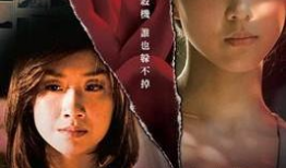 台湾电影网,探寻宝岛光影魅力，重温经典佳作