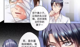 漫画入骨暖婚,漫画入骨暖婚情感之旅