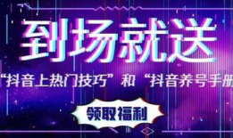 直播带货成交91单多少钱,揭秘成交额背后的秘密