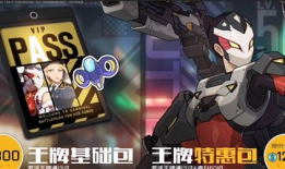 王牌战士,巅峰对决，荣耀之战