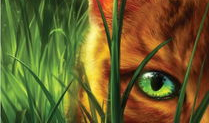 猫武士电影,荣耀与背叛的森林传奇