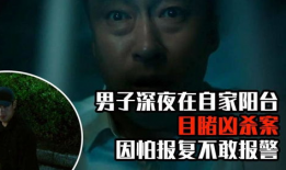 目击者电影,揭秘惊心动魄的真实事件