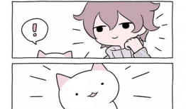 喵日常漫画,萌宠生活的点点滴滴