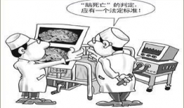 脑死亡,脑死亡的定义与医学挑战